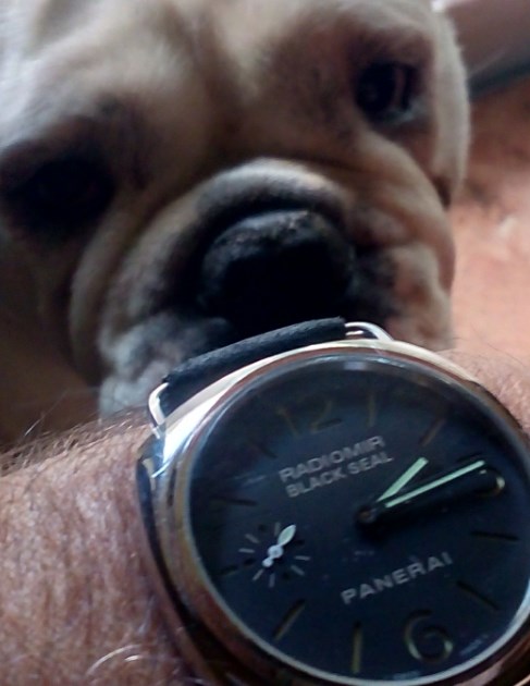 Τι Ρολόι φοράμε σήμερα - Wristshots - Ρολόγια Replica